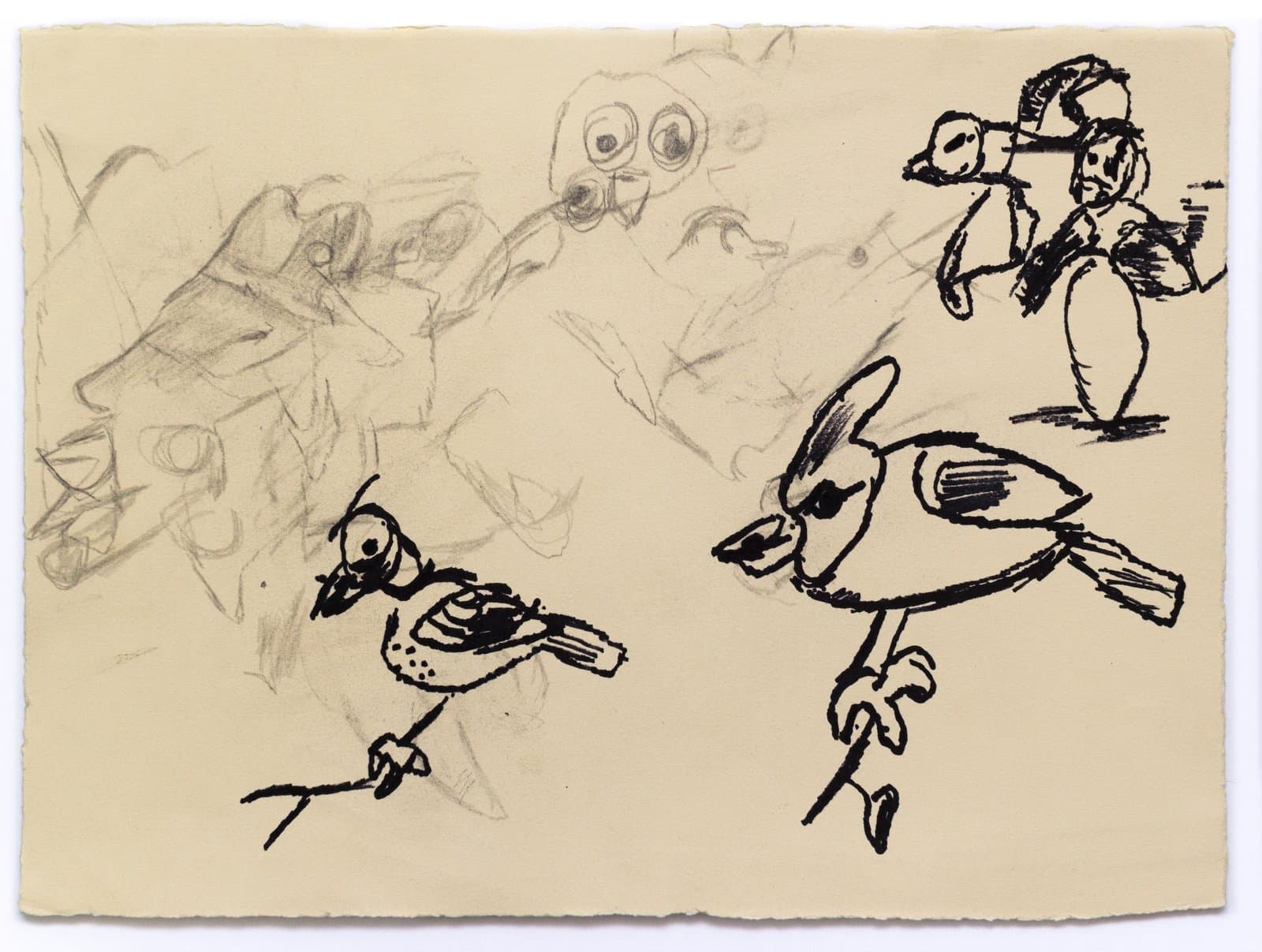 Sketch of multiple birds in black ink and pencil on cream paper, combining loose gestural underdrawing with bold ink outlines.