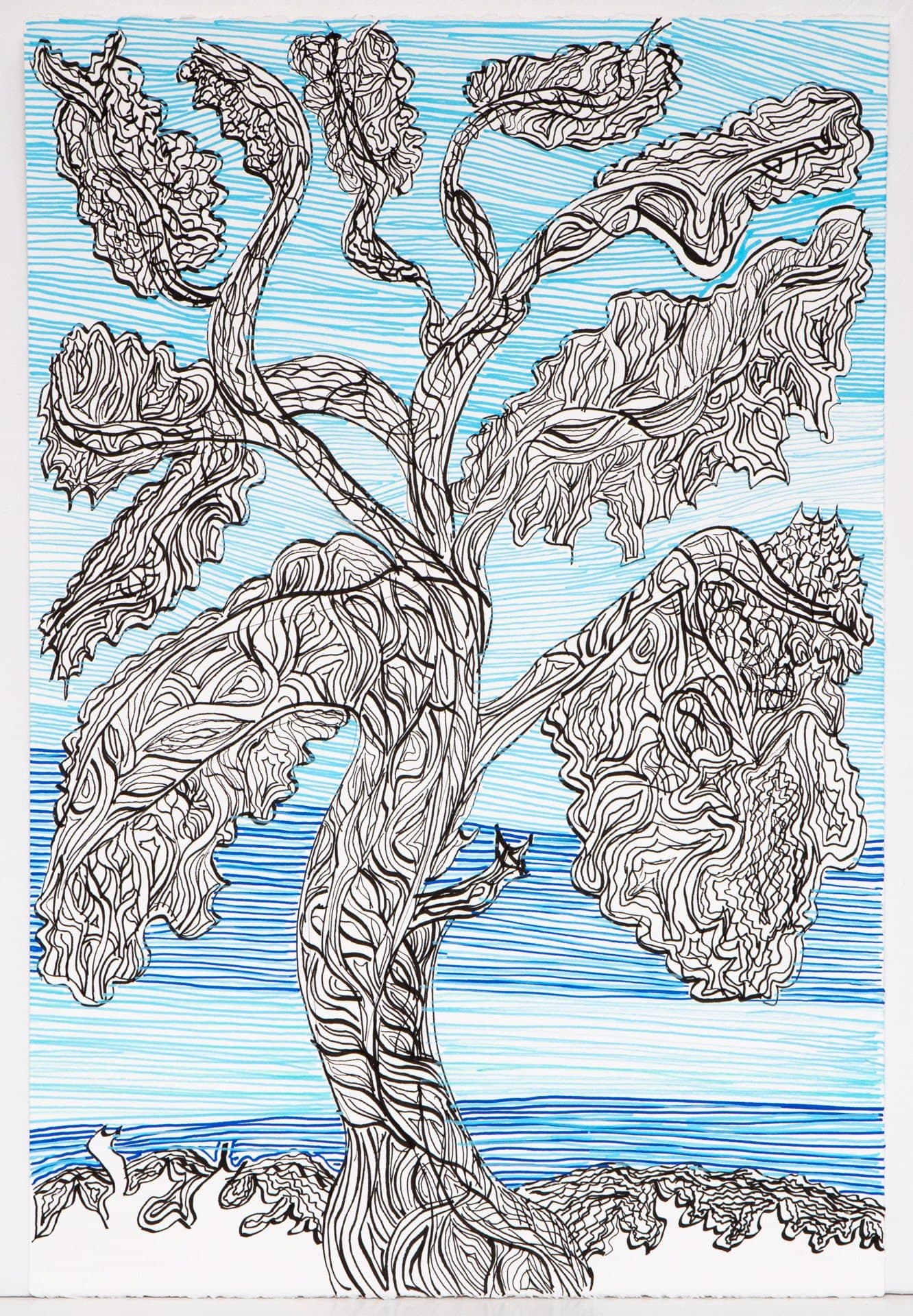 Pen drawing of a gnarled tree with flowing, textured bark and foliage against horizontal blue line background on paper.
