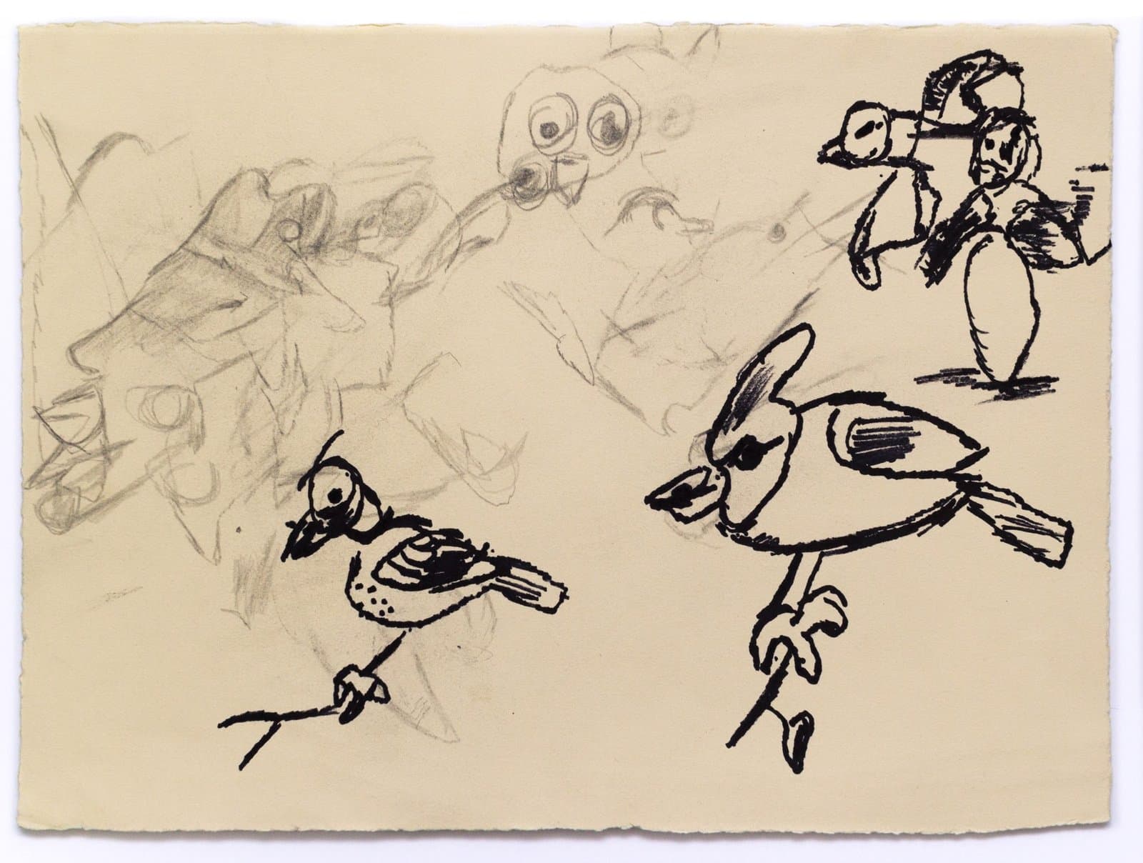 Pen and ink drawing on cream paper showing sketched birds, skulls, and human figures in loose gestural style