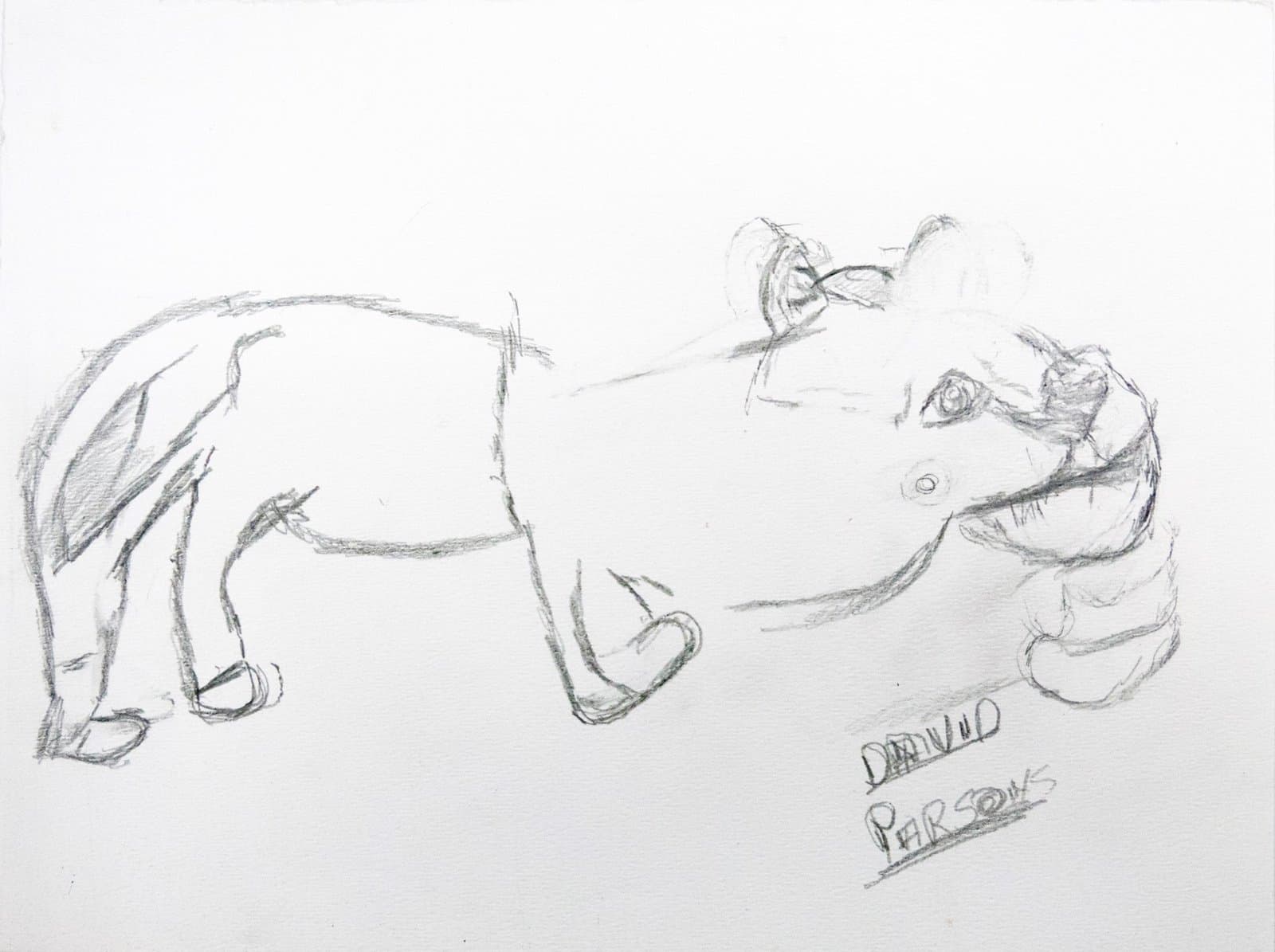 Pencil sketch of a hippopotamus in profile on white paper, showing loose gestural drawing technique