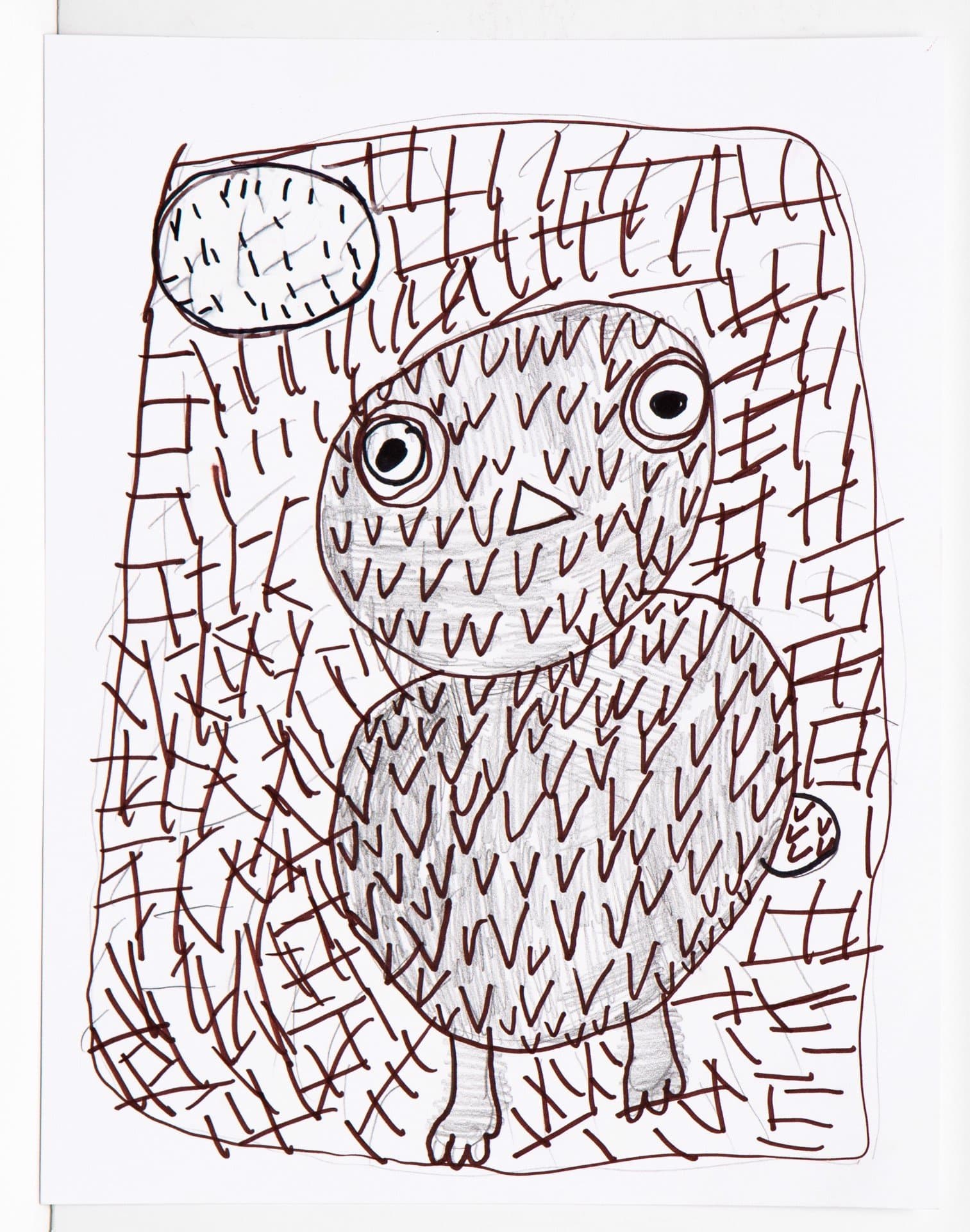 Drawing in pen and colored pencil depicting an owl with large round eyes and crosshatch patterning on white paper.