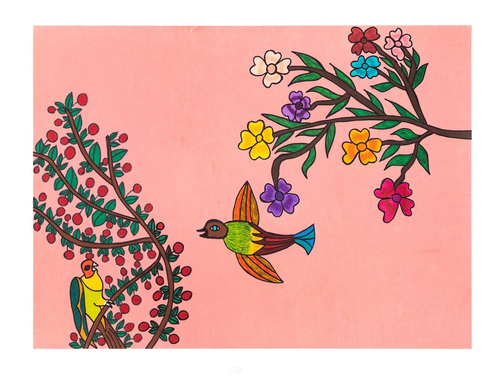 Drawing in colored pencil of birds, flowering branches, and scattered blooms on pink paper.