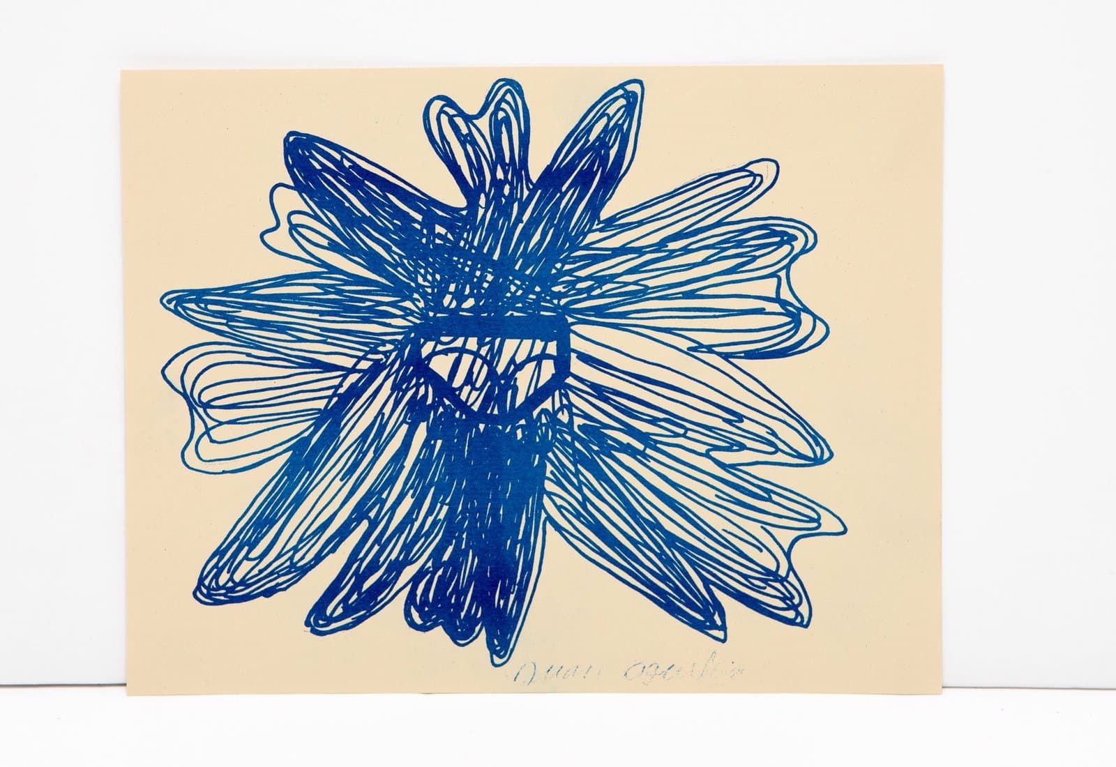 Blue ink drawing of a radiating flower or star form with multiple elongated petals on cream-colored paper.