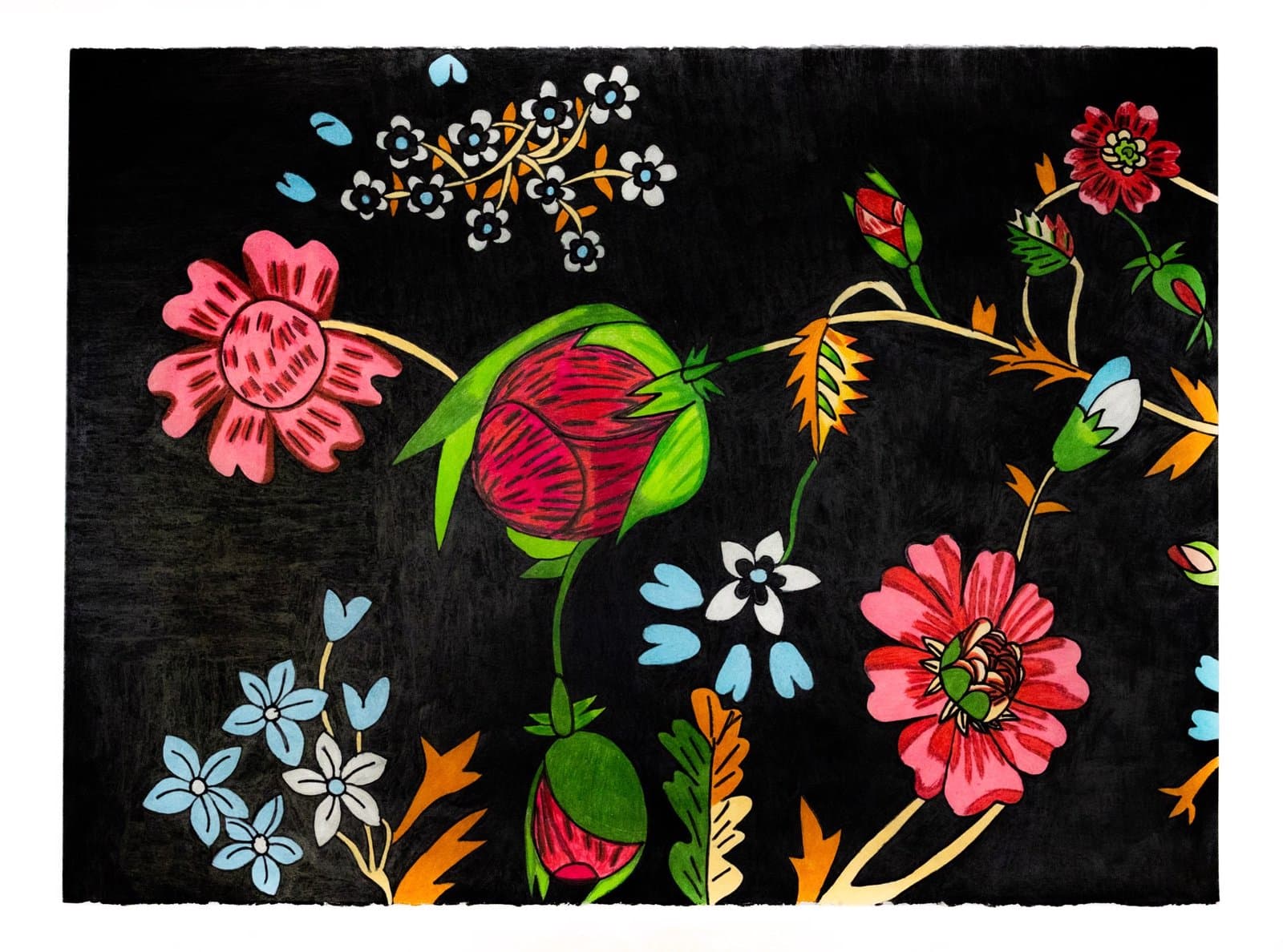Colored pencil drawing of vibrant flowers and botanical elements on black paper background