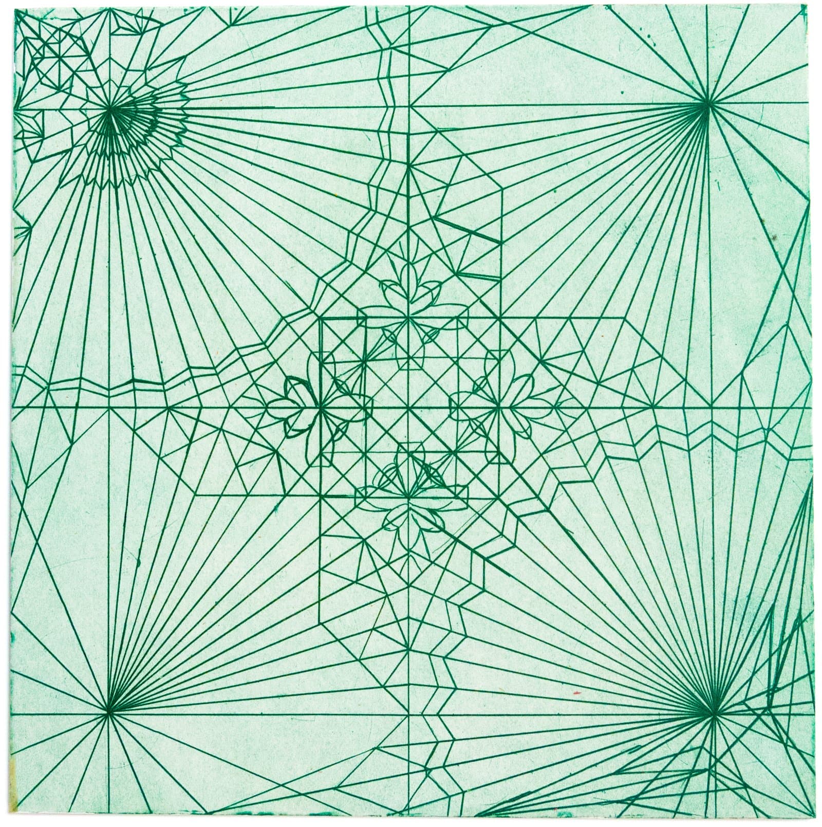 Geometric drawing in dark green ink on mint green paper with radiating lines, grid patterns, and floral forms.