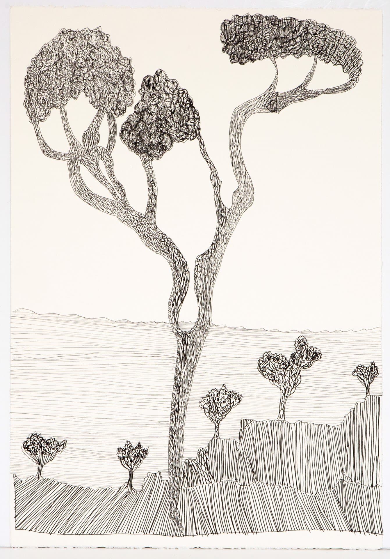 Pen and ink landscape drawing featuring stylized trees with dense, textured canopies on curved trunks above rolling hills.