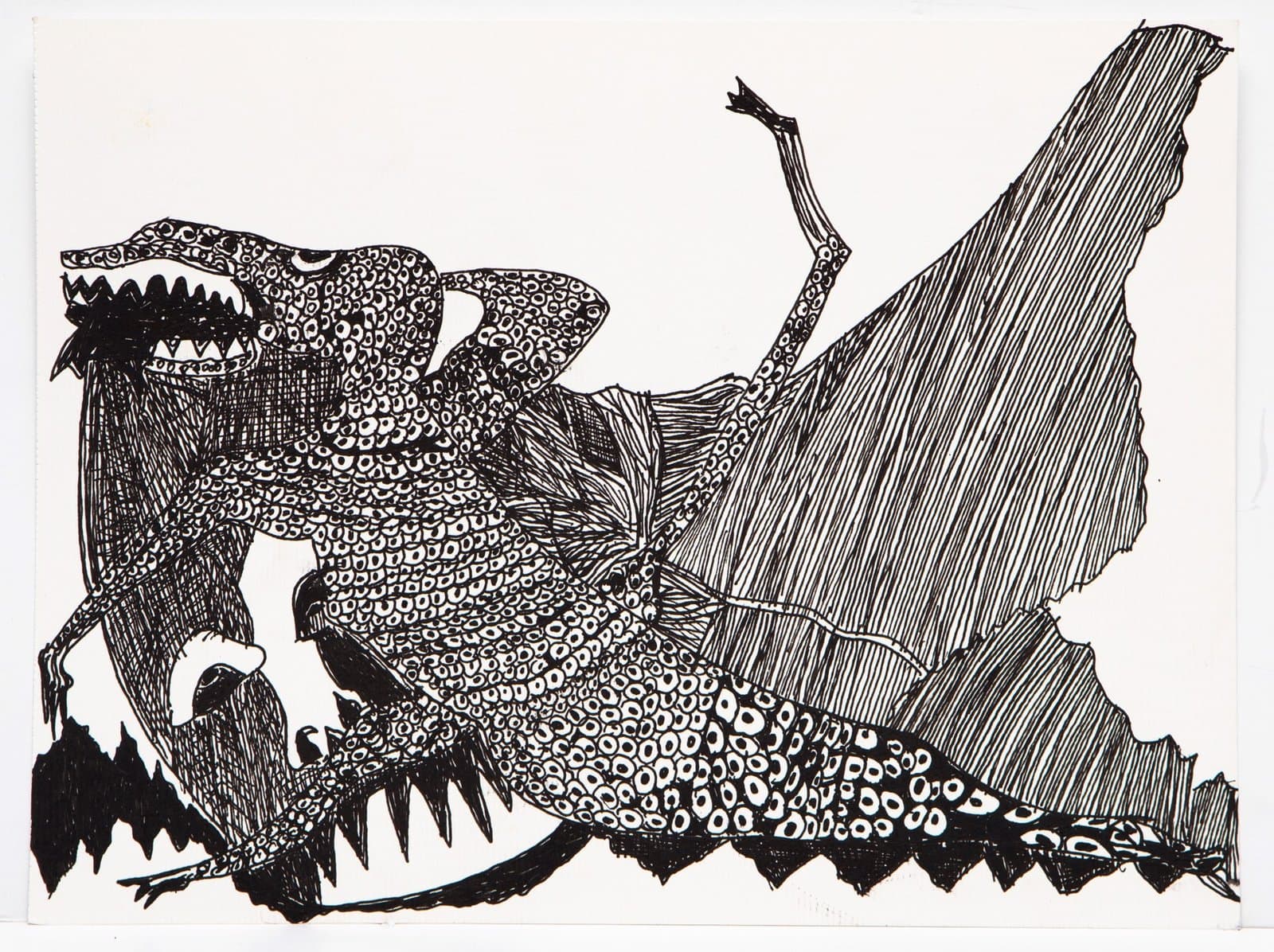 Black ink drawing on white paper showing abstract creature with patterned textures and flowing forms