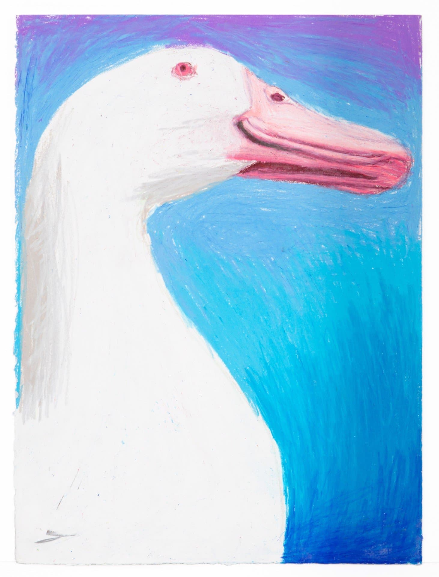 Pastel drawing of a white goose head in profile with pink bill against blue and purple background