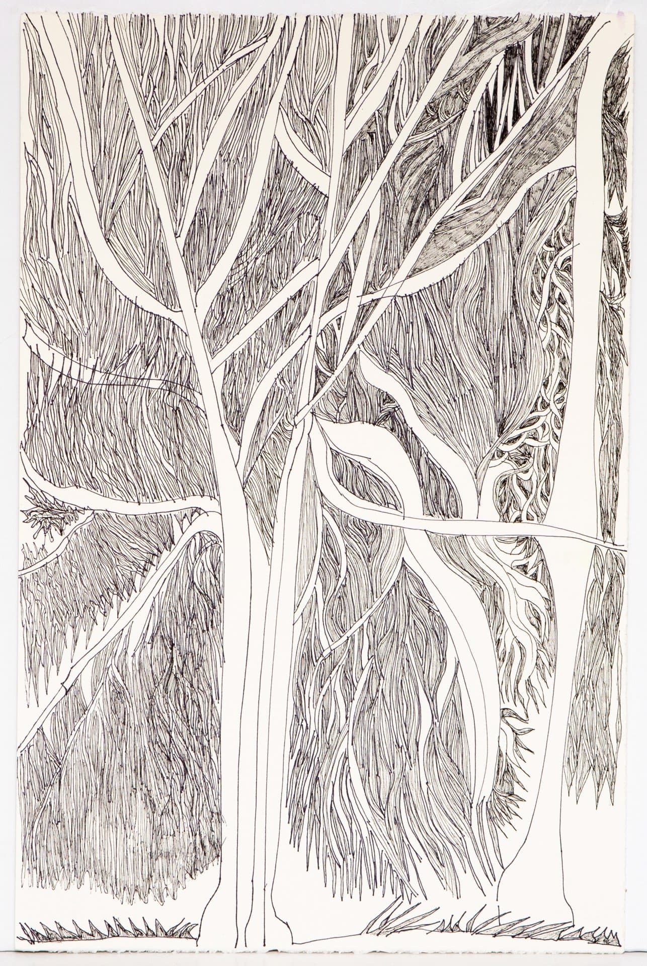 Detailed pen drawing of bare trees with intricate branching patterns and dense linear shading on white paper.