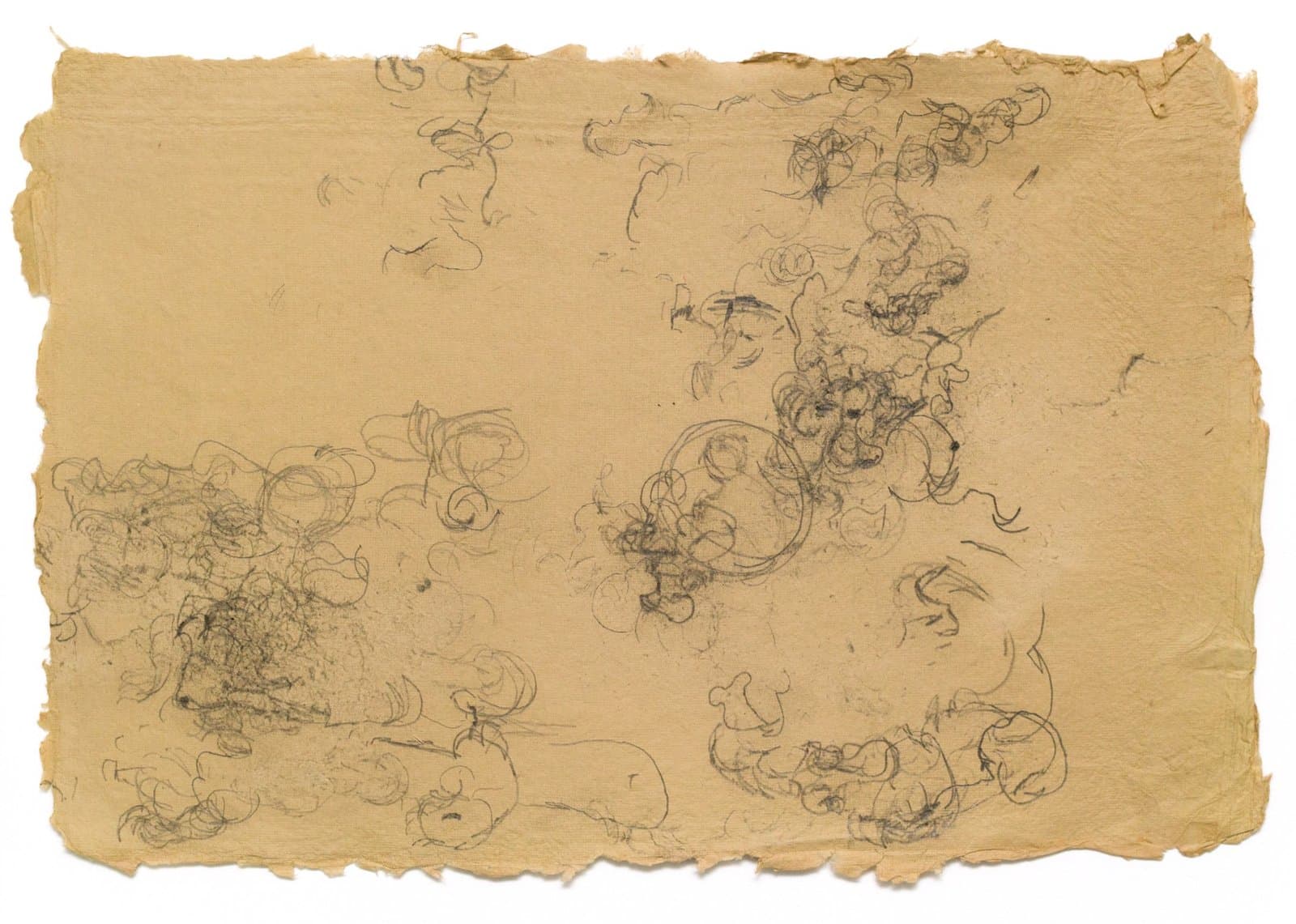 Drawing on aged paper with curly organic forms and flowing lines in graphite or charcoal, rough torn edges