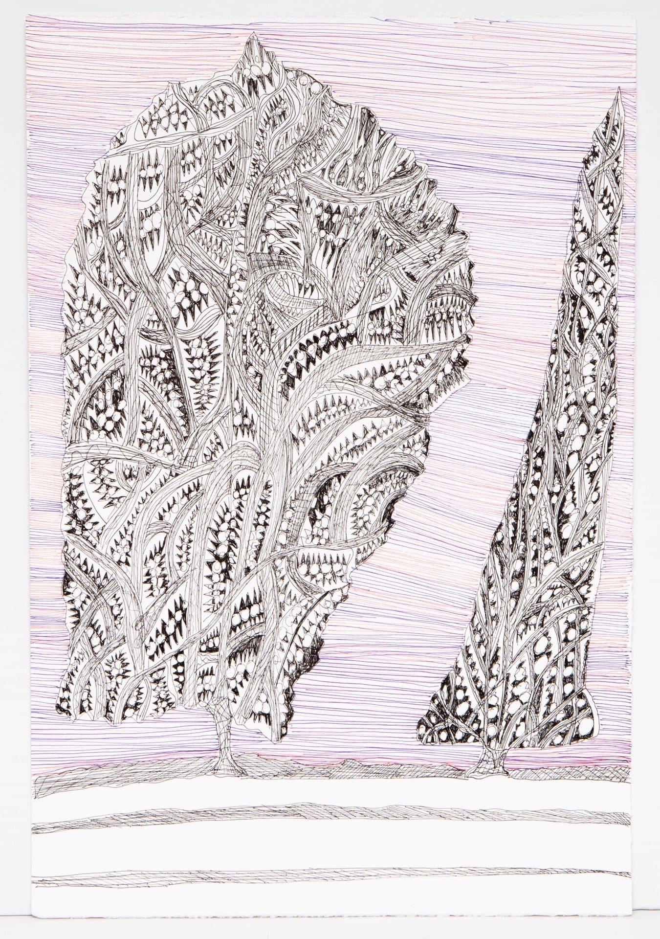 Pen drawing of two stylized trees with intricate patterned foliage on white paper with purple horizontal hatching background.