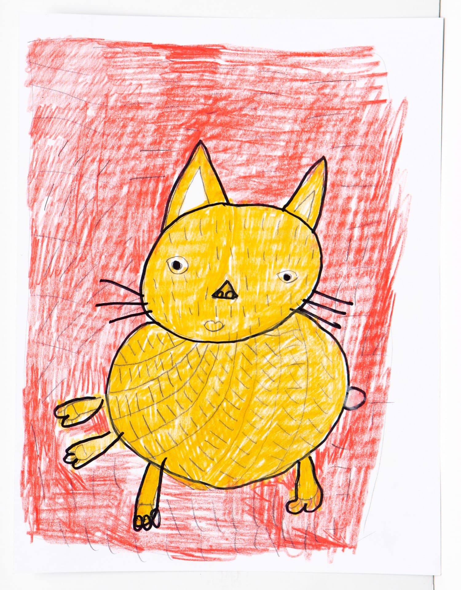 Drawing of a yellow cat with black outline against red background in pen and colored pencil on white paper.