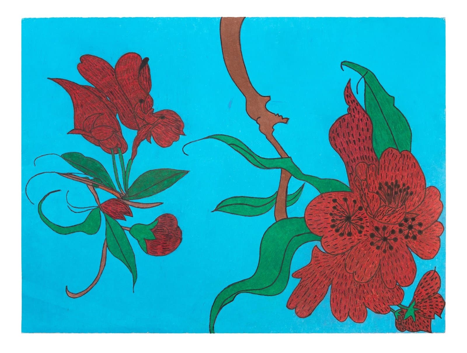 Colored pencil drawing of red flowers with green leaves and brown stems on bright blue background