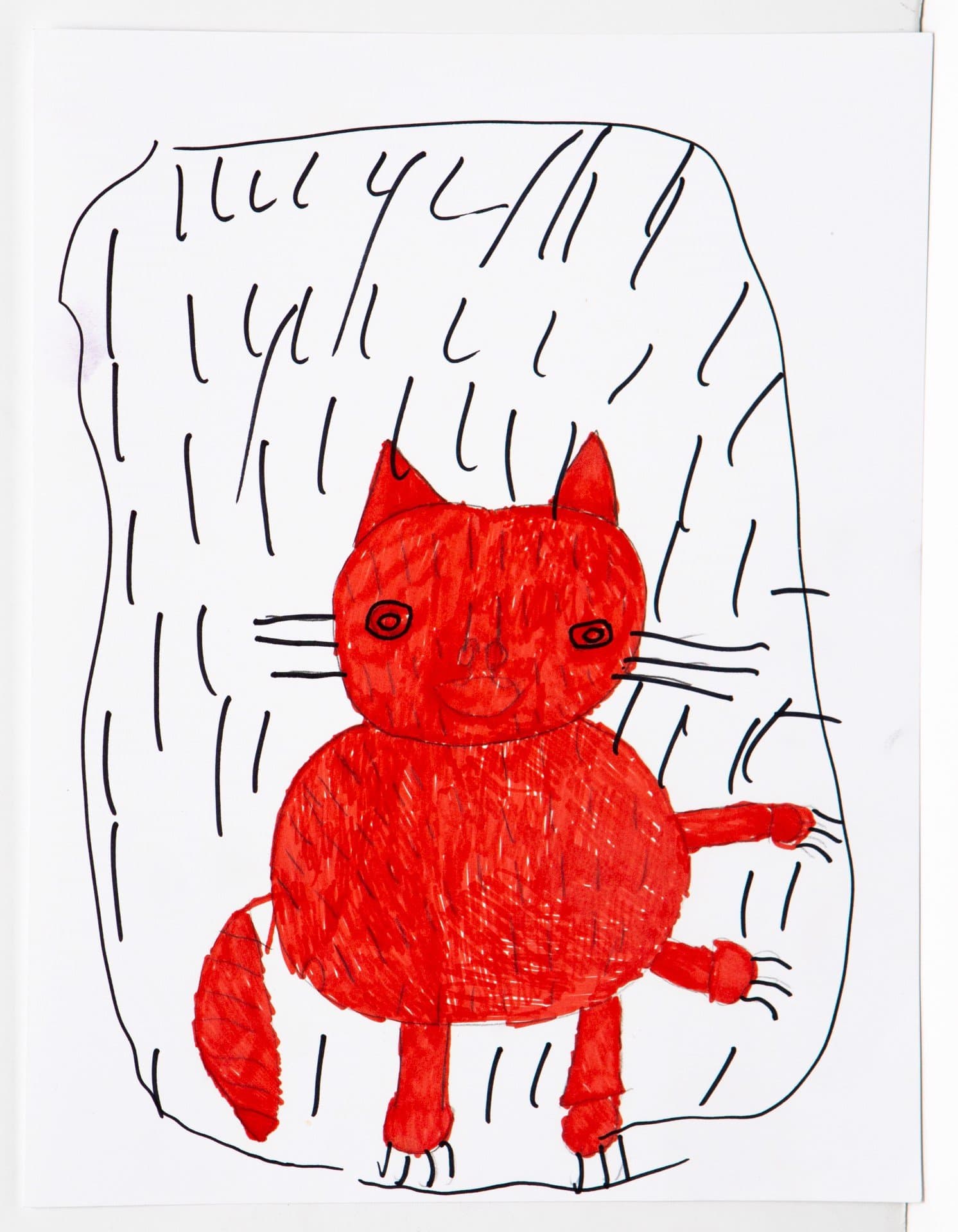Drawing of a red cat with black pen outlines, whiskers, and claws on white paper with black line border.